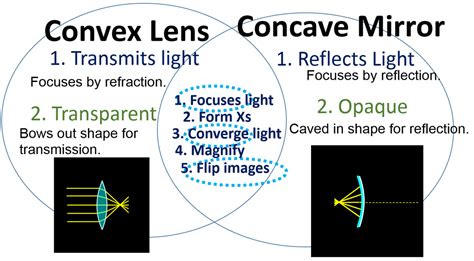 A convex lens focuses light rays, whereas a concave lens causes the light rays to diverge. 7 (d.f): Concave Mirrors and Convex Lenses - Andres ...