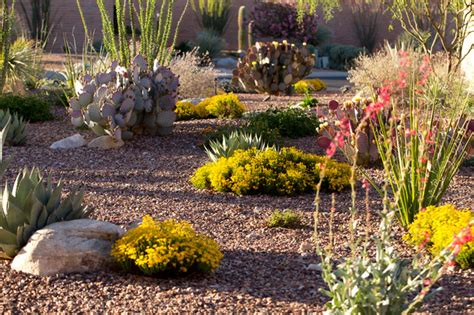 Desert Gardening In The Southwest Jardinería Plantas Flores