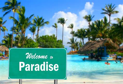 Welcome To Paradise Sign Stock Photo Image Of Palm Paradise 19318410