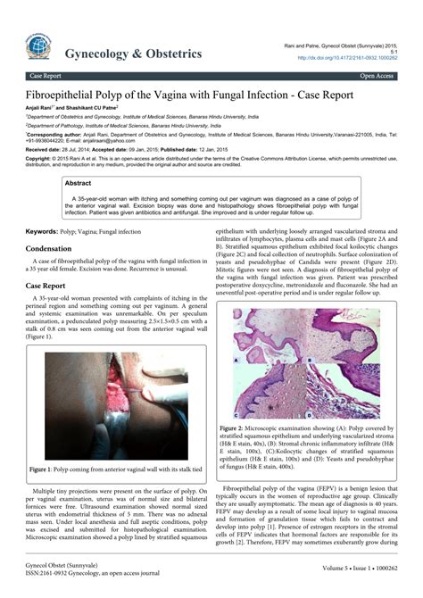 PDF Fibroepithelial Polyp Of The Vagina With Fungal Infection Case