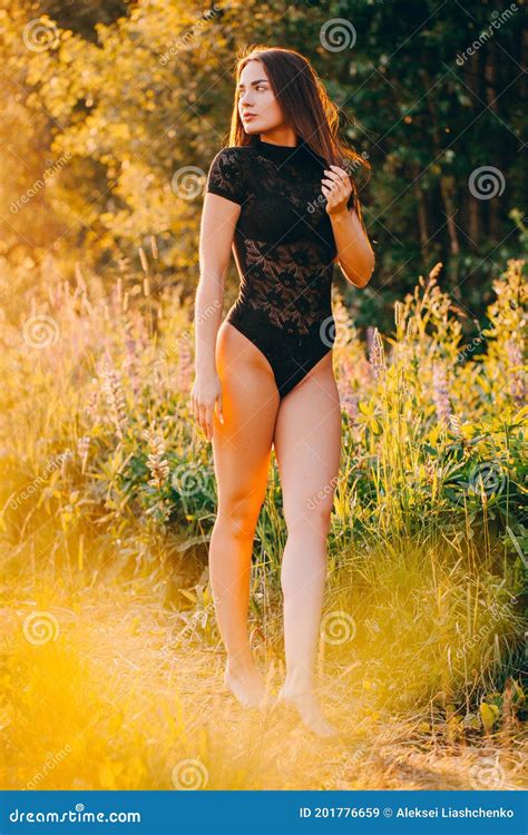 Brunette In Lace Black Bodysuit Posing In The Field At Sunset Stock