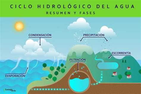 Qué Es El Ciclo Hidrológico Etapas E Importancia Resumen Y VÍdeo