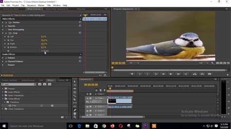 After executing the first step, premiere pro will analyze the clip. How To Crop Video In Premiere Pro - Adobe Premiere Crop ...