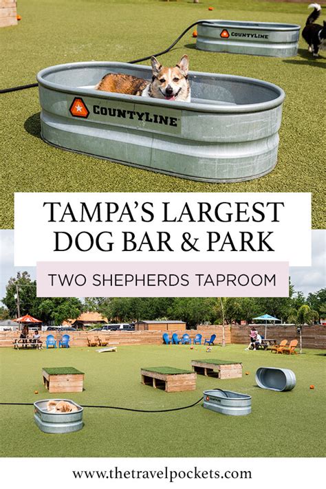 Two Shepherds Taproom Tampas Largest Dog Park And Bar Travel Pockets