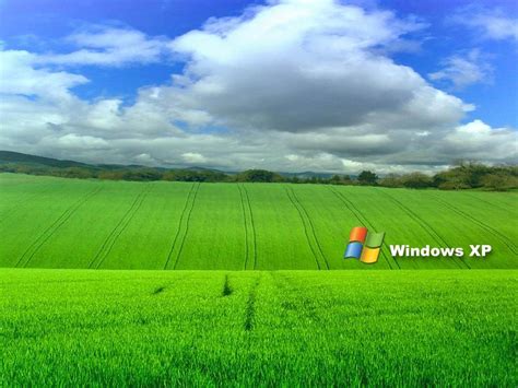 Funny Windows Backgrounds 34 Wallpapers Adorable Wallpapers