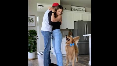 Doggo Sees Mom Hug Dad His Reaction Leaves Netizens In Splits