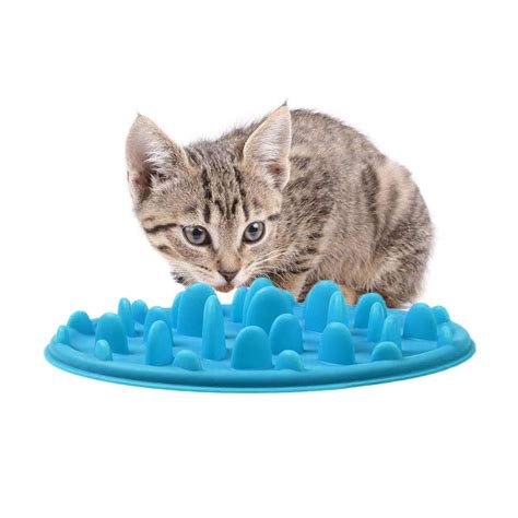 We looked at a range of features such as the material each bowl was made from, and. Reactionnx Slow Feeder Bowl, Ceramic Fun Interactive ...