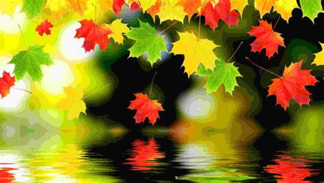 21 Autumn Backgrounds Fall Wallpapers Pictures Images