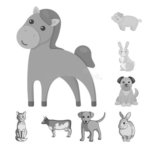 Vector Design Of Animal And Habitat Symbol Collection Of Animal And