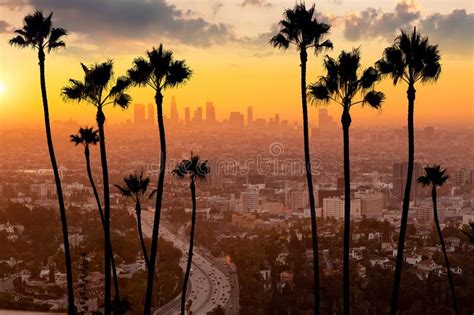 Downtown Los Angeles City Skyline Cityscape Of La Stock Image Image