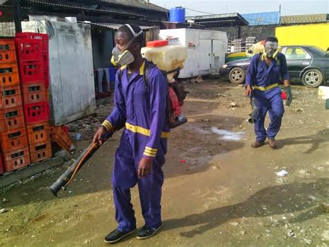 Call 020 3746 1062 for a quote or contact us here. Pest Control & Fumigation training by Rotimax in Lagos, PH ...