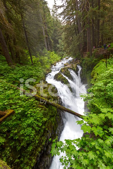 Sol Duc Waterfalls In Olympic National Park Stock Photo Royalty Free