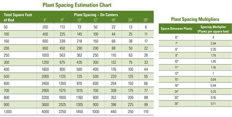 What is the yield of a strawberry? Calculate Plant Spacing | Four Star Greenhouse