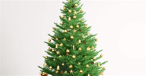 Tropical flowers are used as christmas decorations. When should you put your Christmas tree and decorations up ...