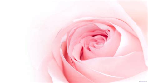 Well, you are on the right page! 2048x1152 Wallpaper for YouTube - WallpaperSafari