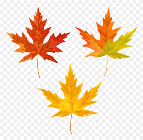 Orange Fall Leaves Png Clip Art Fall Leaves Png Stunning Free