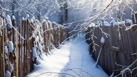 Wallpaper Winter Nature Snow Fence Branches 3840x2160