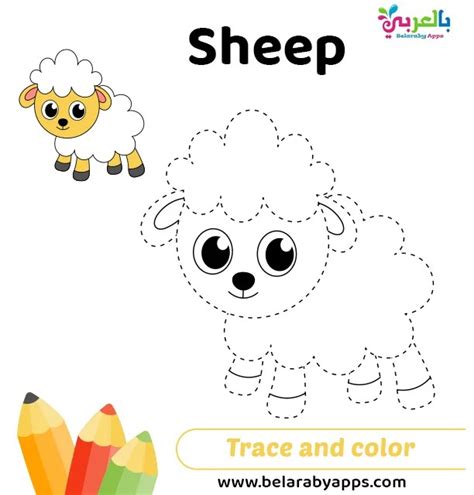 How To Draw A Sheep Easy Step By Step ⋆ Belarabyapps