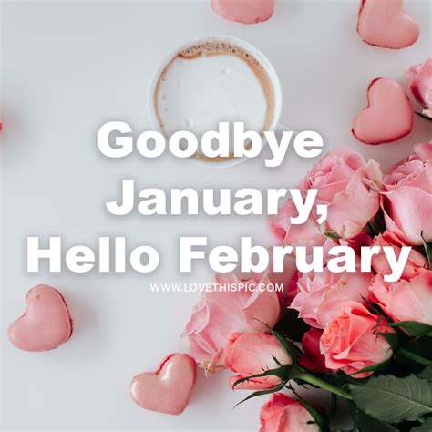 Heart Macaron And Roses Goodbye January Hello February Pictures