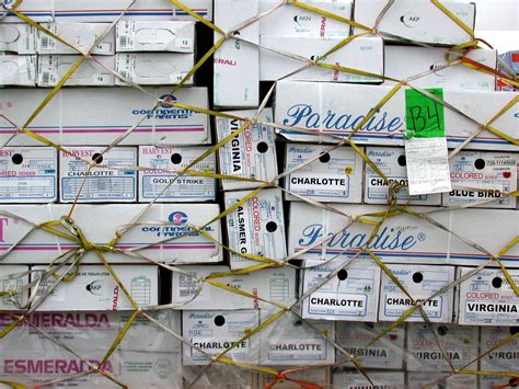 Wholesale flowers miami, miami wholesale florist, warehouse flowers miami, buy bulk flowers, buy flowers in bulk, flower market. Images | Amy Stewart