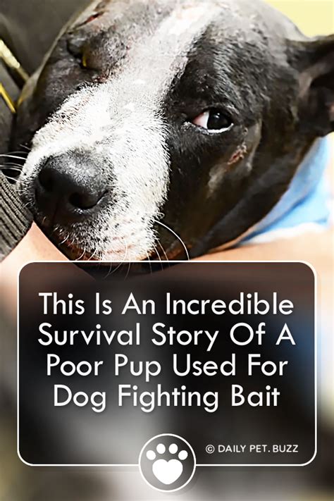 This Is An Incredible Survival Story Of A Poor Pup Used For Dog