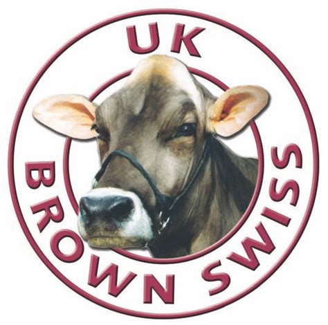 Uk Brown Swiss