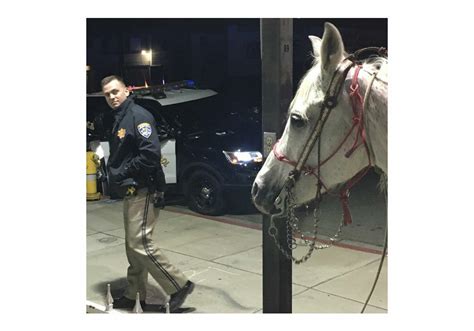 You may not get arrested for it either. Yes, you can get arrested for DUI on horseback | 89.3 KPCC