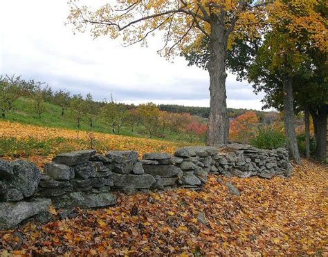 New England Stone Wall Thats What It Looks Like Up Here In Vt And Nh