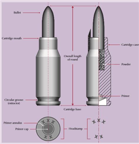 Structure Of A Bullet