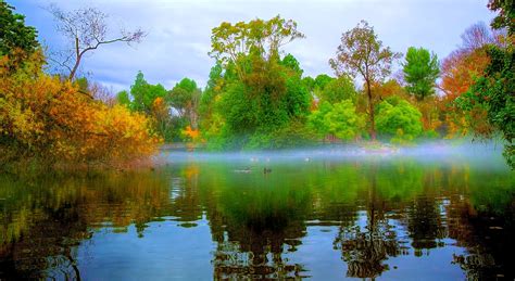 Wallpaper Sunlight Trees Landscape Forest Fall Lake Water Nature Reflection Park