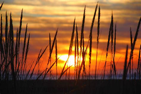 Beach Grass Sunset Photograph By Scenic Edge Photography Fine Art America