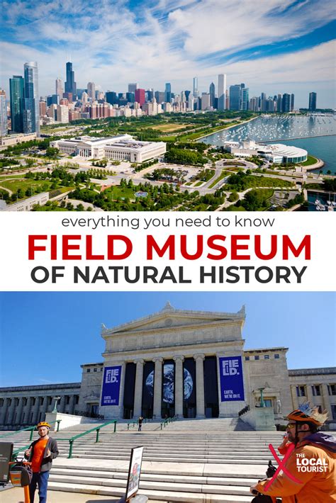 Visiting The Field Museum Of Natural History Your Chicago Guide