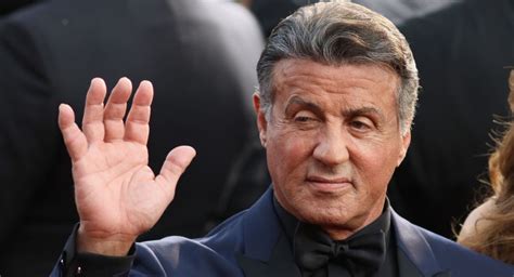Sylvester stallone was born on july 6, 1946, in new york's gritty hell's kitchen, to jackie. Sylvester Stallone won't face charges for rape claim