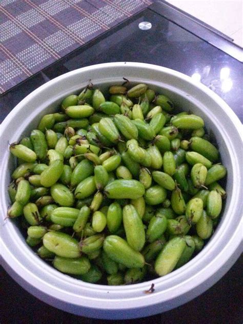 Ambil setengah sendok cuka apel kemudian campurkan dengan dua sendok jus lemon. Siti Sifir's Share-Out Space: Cara Buat Cuka Buah Sendiri
