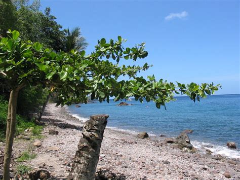 the best beaches in dominica the travel hacking life