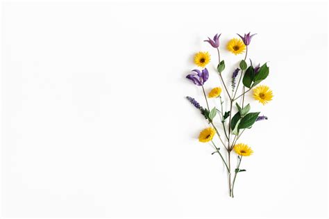If you're in search of the best pink flower white background, you've come to the right place. Flowers Composition Yellow And Purple Flowers On White ...