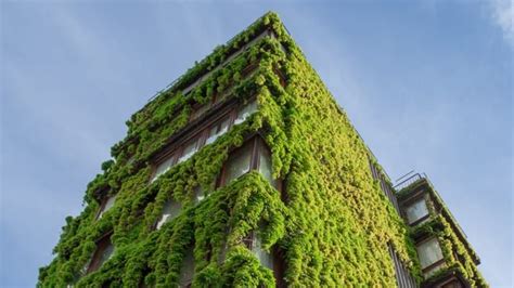 Contoh Model Bangunan Hijau Memahami Konsep Green Building Manfaat