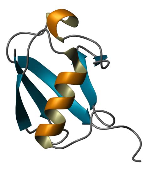 Ubiquitin-MCA | Molecular Depot