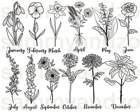 Birth Month Flower Svg Hand Drawn Botanical Clipart Floral Clipart