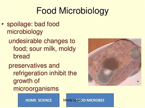 Food Microbes