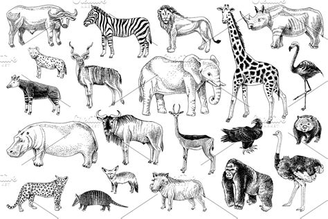 Hand Drawn Savannah Animals Pre Designed Photoshop Graphics