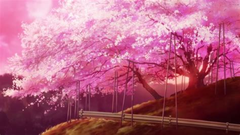 Anime Flower Sakura Flower Flower Header Hyouka Flower Backgrounds Art Background Light