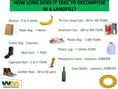I've also included how long it takes to do additional fellowship training to become a specialist in each field if you choose. How Long Does It Take A Plastic Bag To Decompose | Trend Bags