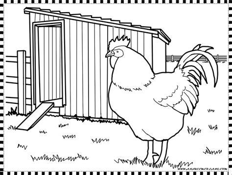 Ya sebenarnya ayam ini termasuk dari jenis burung. Mewarnai Gambar Ayam | Anak Cemerlang