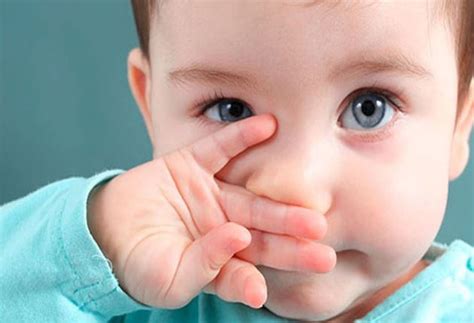 Batuk adalah sebuah gejala penyakit yang umum dan mengganggu, baik batuk yang berlangsung singkat maupun kronis. Cara Mengobati Batuk pada Bayi dan Balita - Bonnels.id