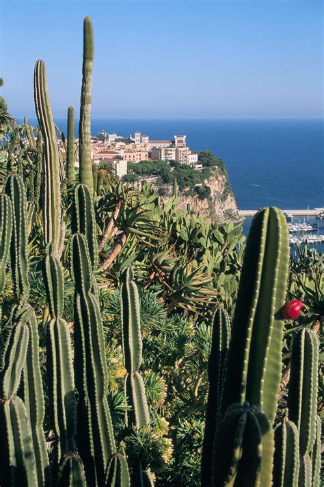 Exotic Garden Of Monaco Everything You Need To Know Vogue France
