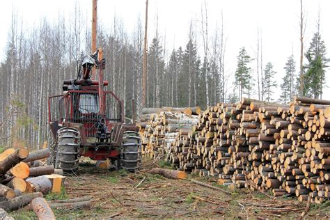 The Forestry Five Must Have Logging Tires For 2016
