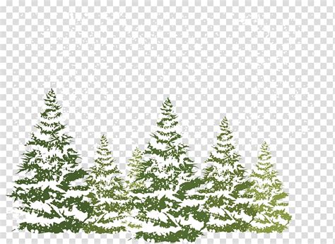 Pine Trees Pour With Snow Pine Fir Spruce Snow Pine Winter