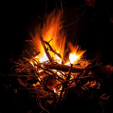 Free Images : night, sparkler, flame, fire, darkness, black, campfire ...