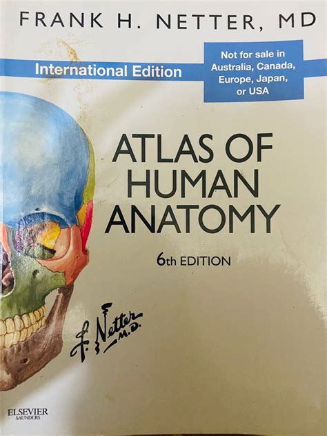 Frank H Netter Atlas Of Human Anatomy 6th Edition Hobbies And Toys